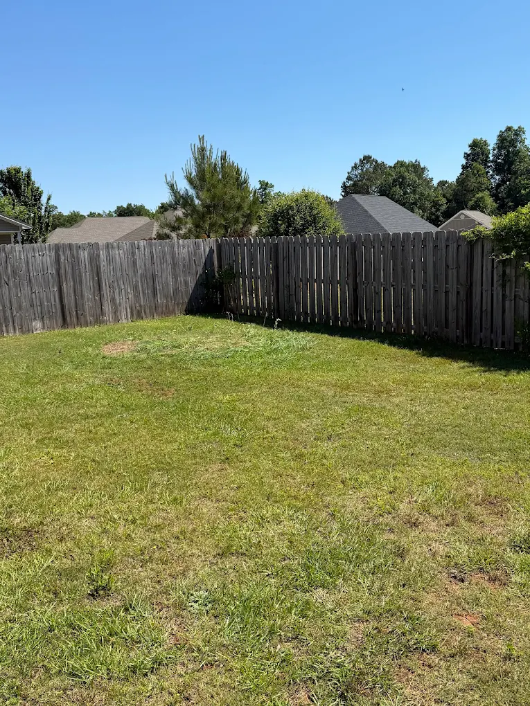 Yard Waste Removal